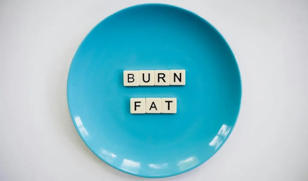1. determine your caloric needs